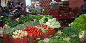 Especialista recomienda consumo de frutas y verduras para levantar la inmunidad en días fríos