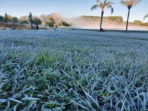Ola de frío: heladas, escarchas y graupel en dos semanas de invierno en Itapúa - Clima - ABC Color