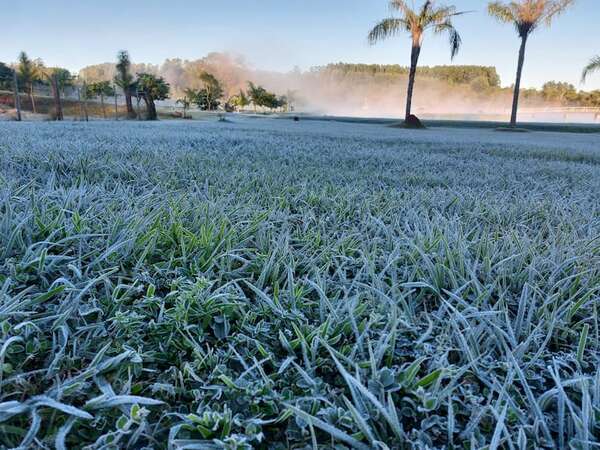 Ola de frío: heladas, escarchas y graupel en dos semanas de invierno en Itapúa - Clima - ABC Color