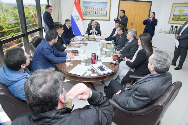 Visita del titular de IPS, raboneros y desafueros en la agenda de Diputados - Política - ABC Color