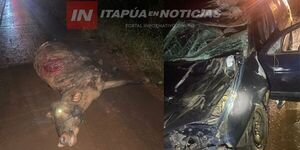 T.R.PEREIRA: CHOQUE CONTRA VACA DEJA DOS HERIDOS - Itapúa Noticias