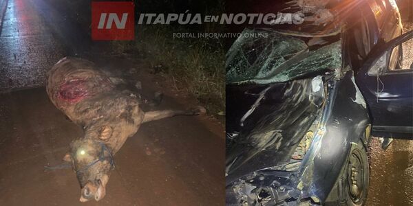 T.R.PEREIRA: CHOQUE CONTRA VACA DEJA DOS HERIDOS - Itapúa Noticias