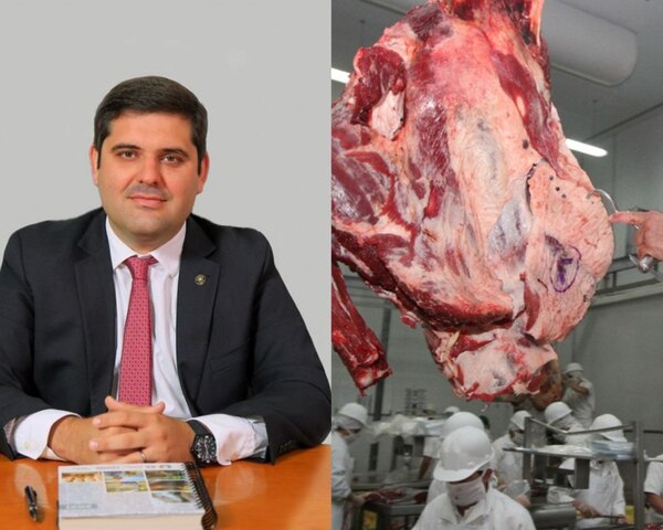 Aseguran que exportación cárnica mejoró y que se visualizan ingresos a otros mercados - Megacadena - Diario Digital