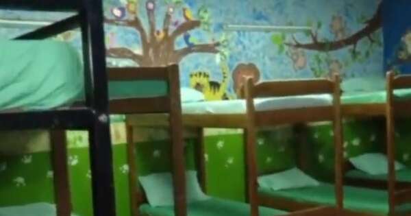 La Nación / Asisten a 55 niños en situación de calle en albergues del Minna