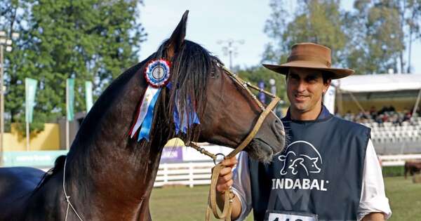 La Nación / ¿Qué sería de la ganadería paraguaya sin los caballos?