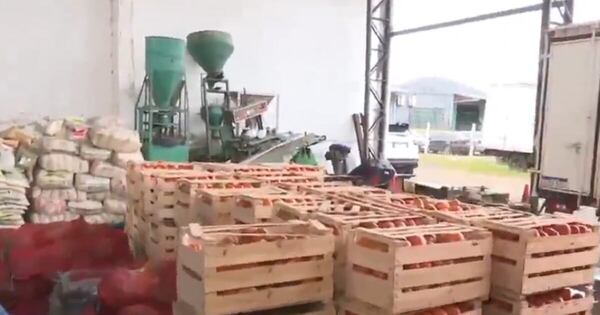 Diario HOY | En tres operativos, incautan 50 toneladas de tomates de contrabando
