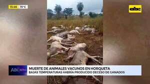 Video: muerte de animales vacunos en Horqueta - ABC Noticias - ABC Color
