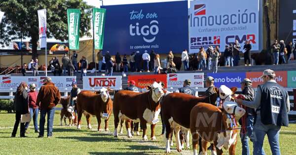 La Nación / Producción pecuaria, un orgullo nacional que crece año a año