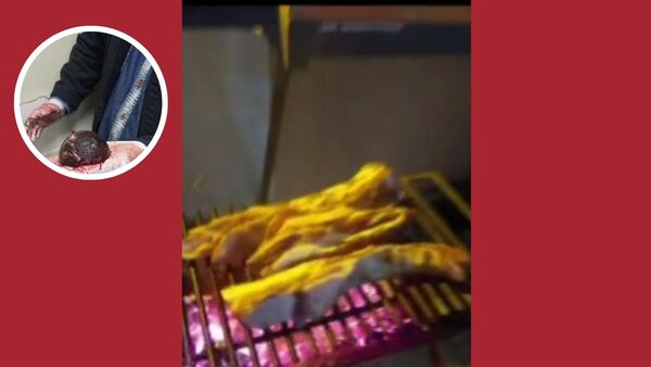 Asado mortal: Murió desfigurado - SNT