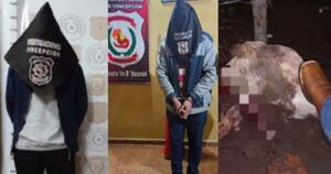 Diario HOY | Capturan a dos personas vinculadas a caso de abigeato en Concepción