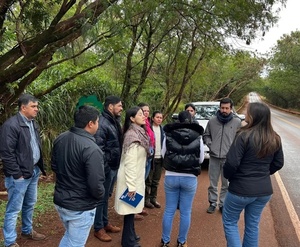 Avanza proyecto de mejora del famoso “Túnel verde” - La Clave