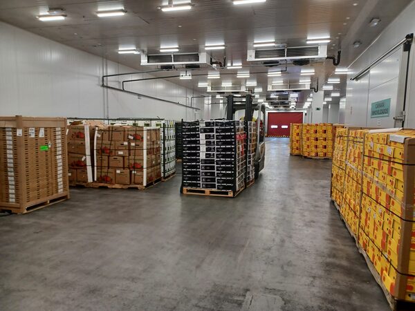 El punto de entrada de los alimentos frescos de Am茅rica Latina a la UE est谩 en Madrid - Revista PLUS