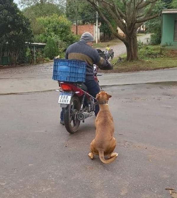 [VIDEO] Recibe amenazas al viralizarse su foto maltratando a un perro