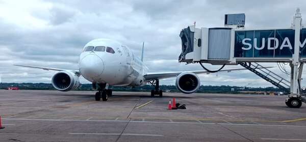 Video: la conclusión de un perito sobre el choque de un pájaro contra un avión en el Silvio Pettirossi - Nacionales - ABC Color