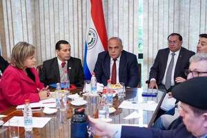 Senadores liberales insisten con interpelar al presidente de la ANDE - Economía - ABC Color