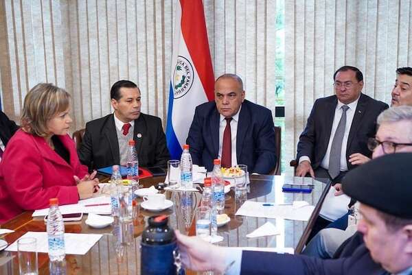 Senadores liberales insisten con interpelar al presidente de la ANDE - Economía - ABC Color