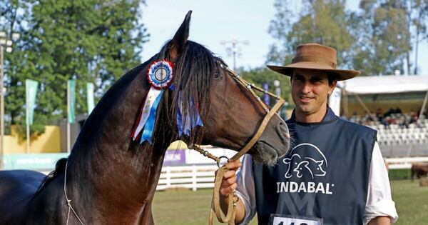 La Nación / Pieza clave: ¿qué sería de la ganadería en el Paraguay sin los caballos?