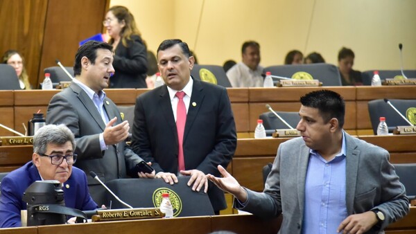 Cartismo se mantiene en controlar fondos privados en la ley de ONG