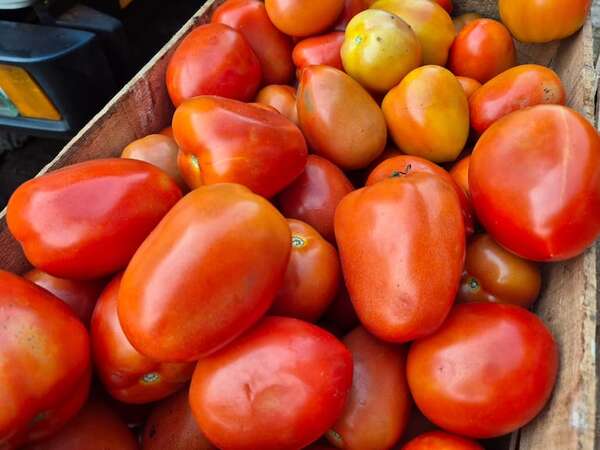 Incautan 38.000 kilos de tomate de contrabando - Policiales - ABC Color