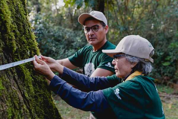 Hasta el 25 de julio, podés inscribir a tu árbol al concurso Colosos de la Tierra - trece