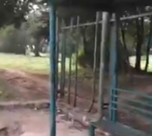 Delincuentes están dejando sin rejas al Jardín Botánico - Paraguay.com