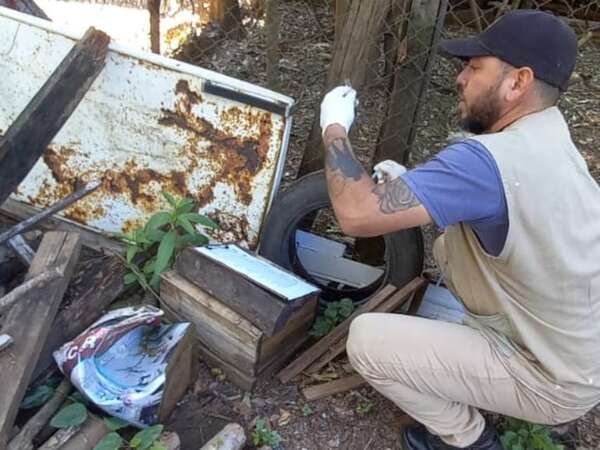Dengue: preocupa altos índices de infestación larvaria en barrios de Ayolas - Nacionales - ABC Color