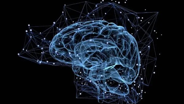 Investigadores demuestran que el cerebro puede rejuvenecer