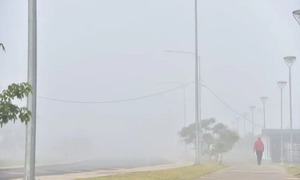 ¿Niebla o neblina? Meteorología explico cómo se da este fenómeno climático que se dio esta mañana - OviedoPress
