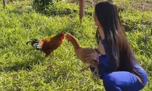 [VIDEO] Hortensia se escapó de su casa y Laurys le encontró con su chico’i en la calle
