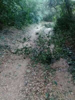 Medida cautelar deja sin salida a vecinos y afecta actividad turística en Paraguarí - Nacionales - ABC Color