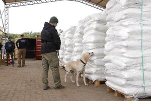 Operación Dulzura: Detienen a chofer que transportó megacarga de cocaína en bolsas de azúcar