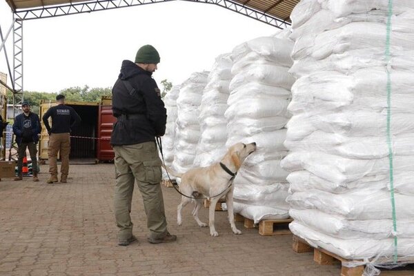 Operación Dulzura: Detienen a chofer que transportó megacarga de cocaína en bolsas de azúcar
