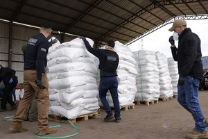 Detienen a chofer que trasportó carga de azúcar con cocaína hasta Caacupemí