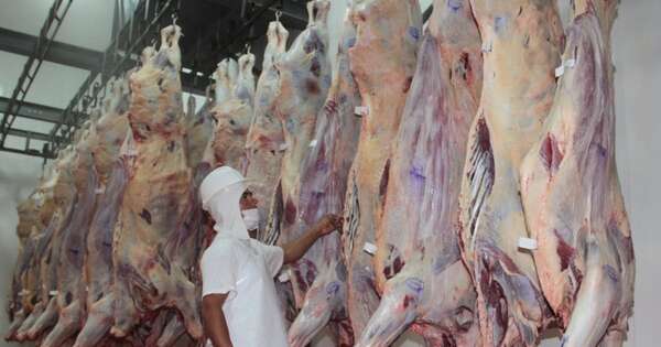 La Nación / Sector cárnico: industrias solo son tomadoras de precios