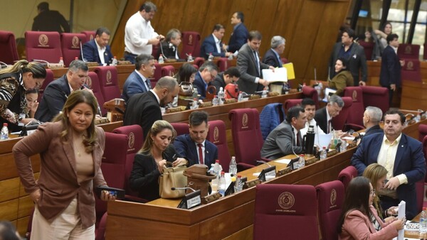 Comisión abordará con Seprelad sobre ley garrote a oenegé