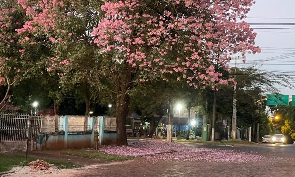 Temperatura en aumento desde este miércoles