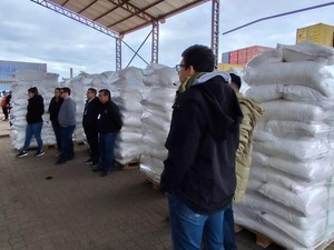 Megacarga de cocaína: fletero detenido alegó desconocer el contenido del cargamento - ADN Digital