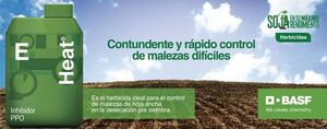 Con más de una década de aplicación en Paraguay, Heat® sigue siendo el herbicida que permite solucionar la problemática malezas en la desecación pre siembra de soja de manera contundente y rá