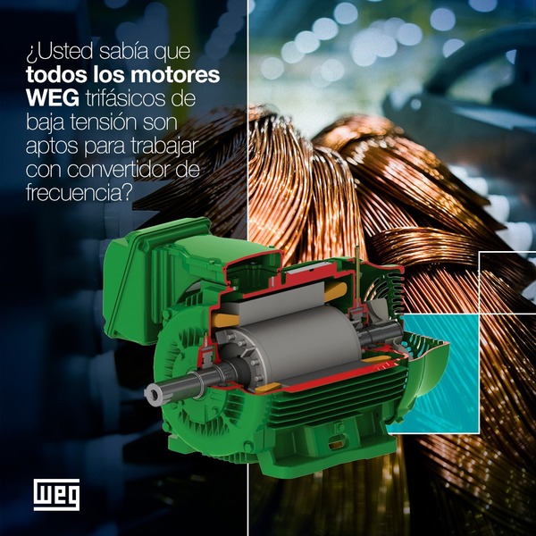 Record Electric S.A.E.C.A. presenta la solución WISE de WEG para proteger motores eléctricos