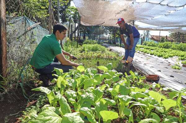 Municipalidad de Encarnación impulsa producción y consumo de alimentos frescos en la comunidad