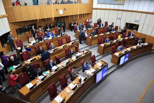 Senado sanciona la versión de diputados de la ley “antinepotismo”
