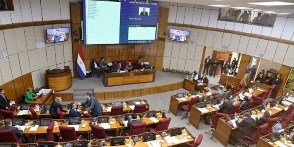 Gremios empresariales y organizaciones de la sociedad civil se pronuncian en contra de ley de control de ONG - El Independiente