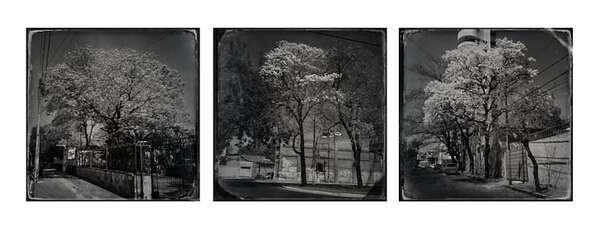 Inaugurarán la exposición fotográfica “Más adentro que afuera” - Artes Plásticas - ABC Color
