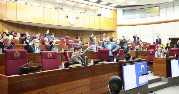 La Nación / Senado sanciona Ley antinepotismo en la función pública y pasa al Ejecutivo