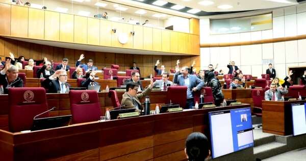 La Nación / Ley antinepotismo fue sancionada en Senadores
