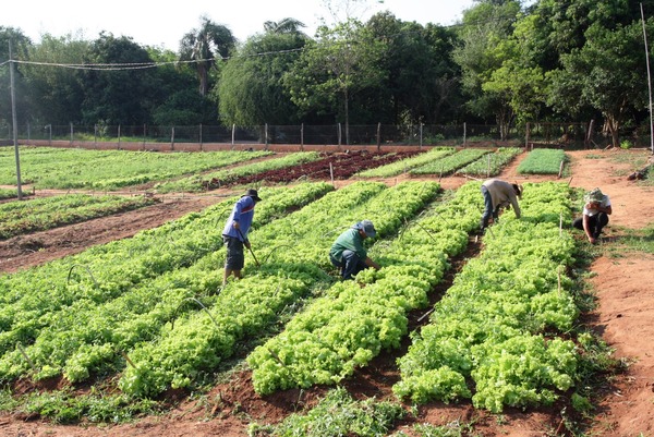 Oportunidad para Mipymes y agricultores en rueda de negocios de “Hambre Cero” - ADN Digital