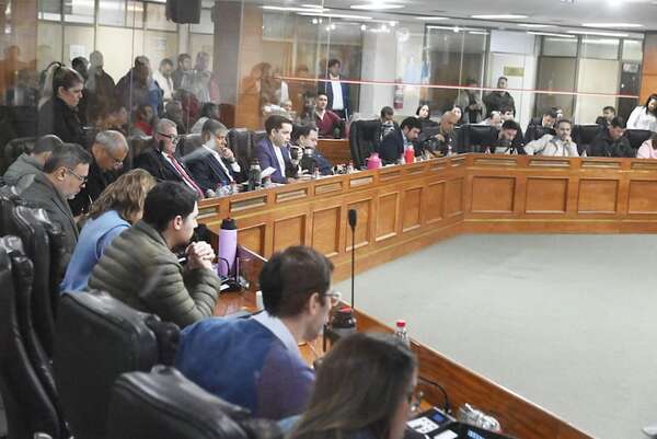Préstamo para Nenecho: senador apunta hacia concejales liberales “serviles” al intendente - Política - ABC Color