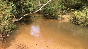 Abuelo resbaló, cayó a un arroyo y murió ahogado