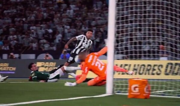 Botafogo vence al Palmeiras y es solitario líder del Brasileirao