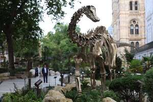 La princesa de Gales celebra la apertura de los jardines del Museo de Historia Natural - Viajes - ABC Color